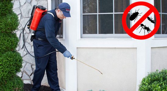Boğazkale Dezenfeksiyon böcek ilaçlama ve haşere kontrolü — ilaclama-tr.com